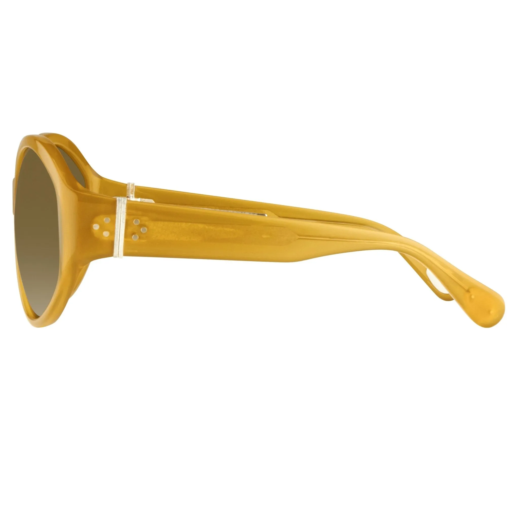 Ann Demeulemeester Ladies Sunglasses Oversized Honey and Green AD6C5SUN