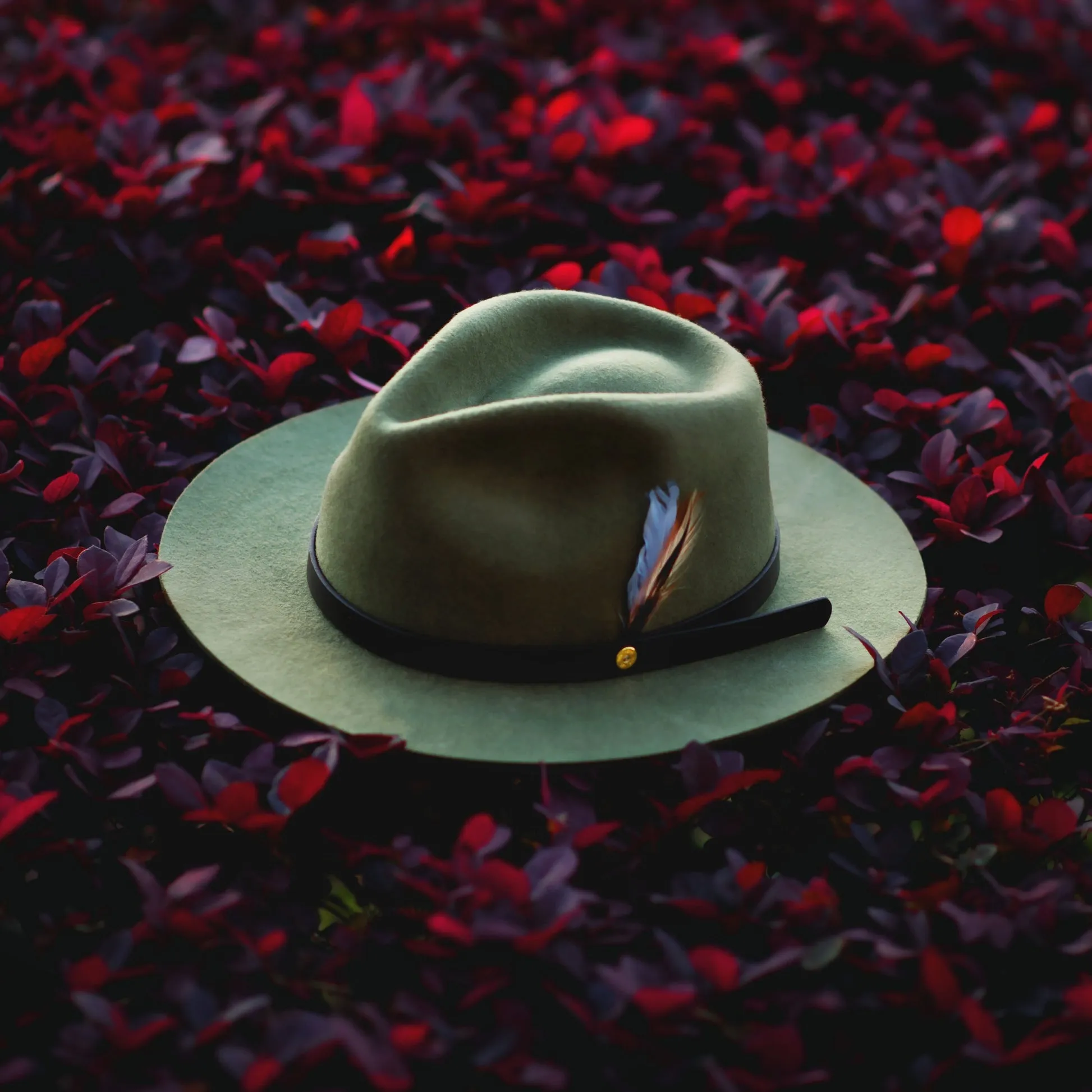 Dapper Men's Felt Fedora Hat–Dark Olive
