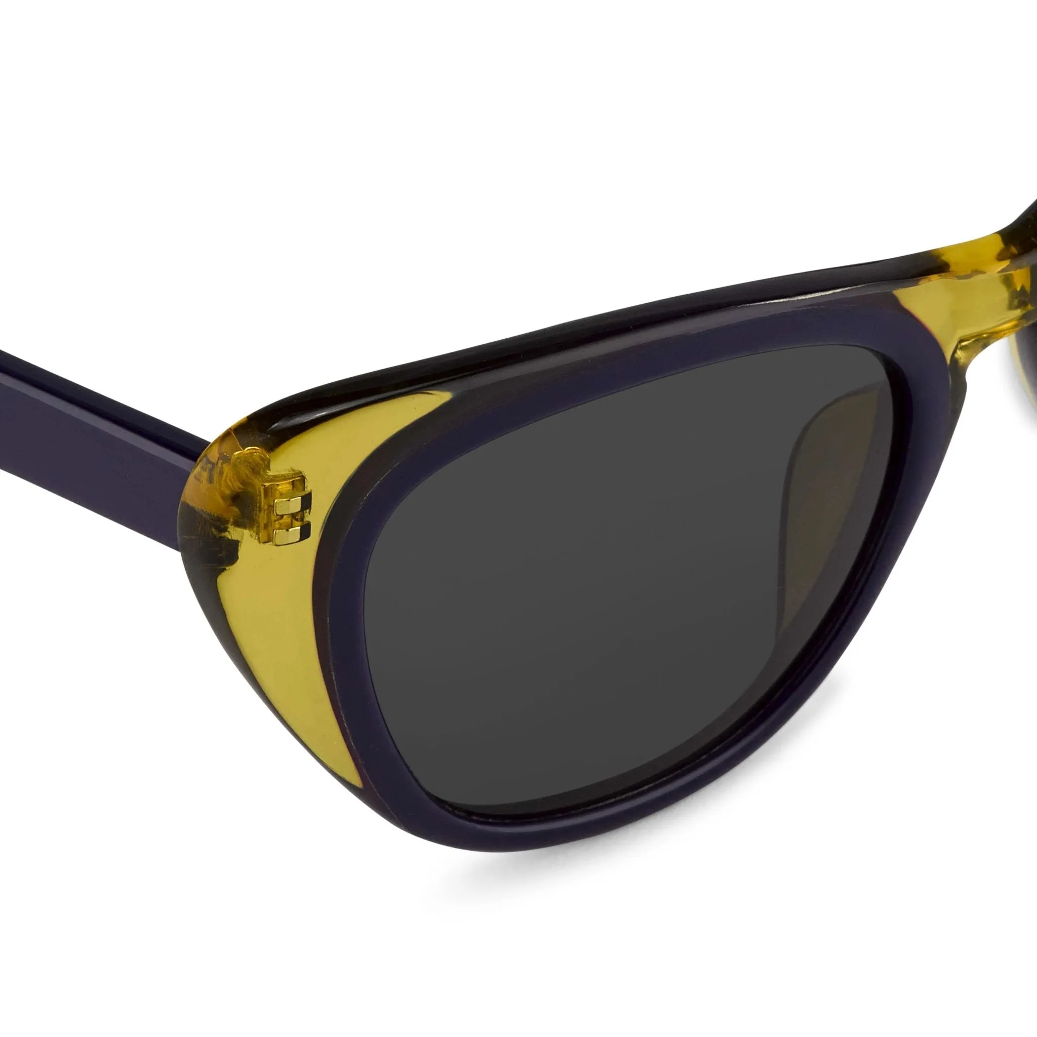 Erdem Sunglasses Cat Eye Purple and Grey