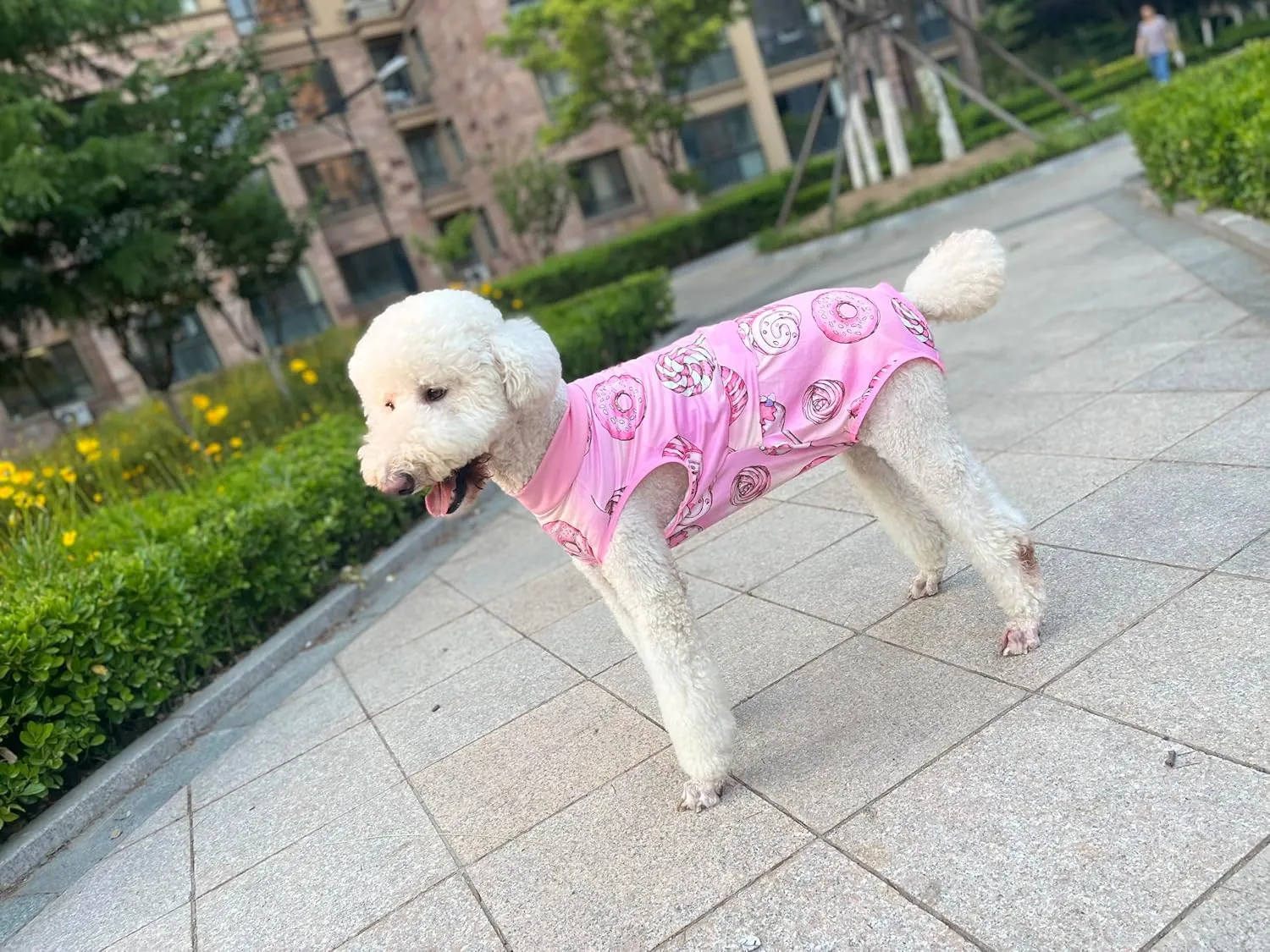 Xqpetlihai Dog Onesie Surgery Recovery Suit for Medium Large Dogs Recovery Shirt for Abdominal Wounds or Skin Diseases Bodysuit Dogs Pajamas(SW,S)
