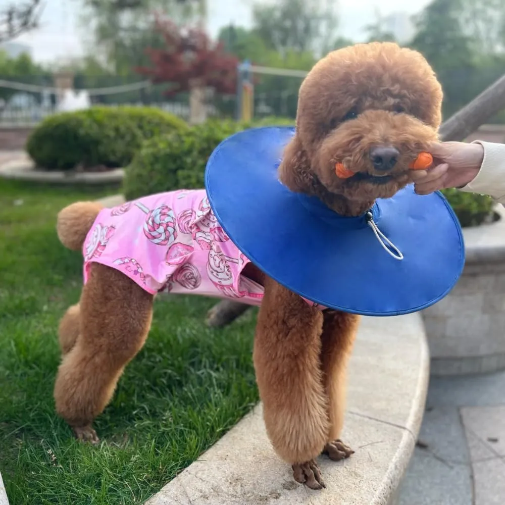 Xqpetlihai Dog Onesie Surgery Recovery Suit for Medium Large Dogs Recovery Shirt for Abdominal Wounds or Skin Diseases Bodysuit Dogs Pajamas(SW,S)