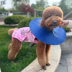 Xqpetlihai Dog Onesie Surgery Recovery Suit for Medium Large Dogs Recovery Shirt for Abdominal Wounds or Skin Diseases Bodysuit Dogs Pajamas(SW,S)